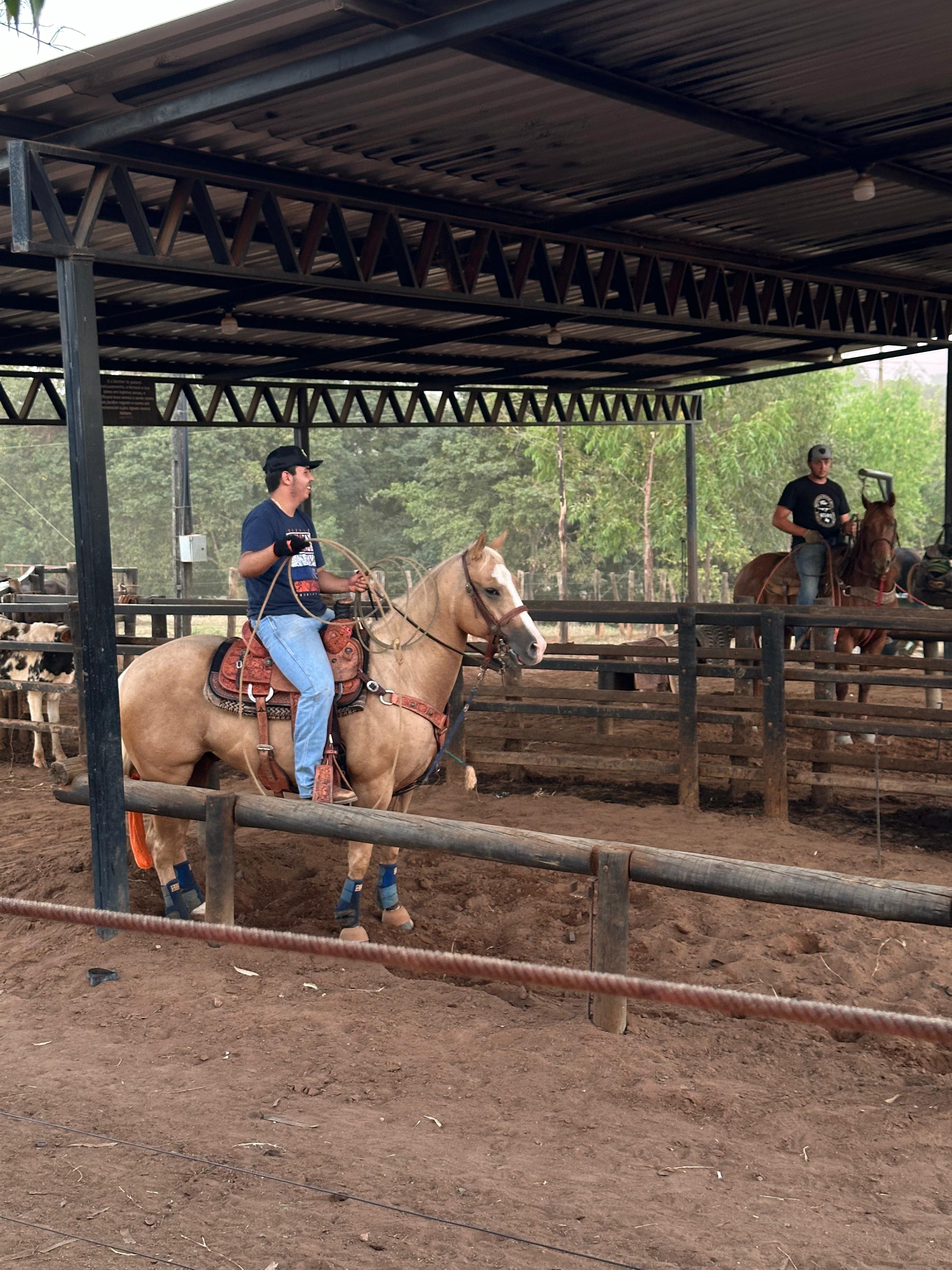 Bastidores do haras