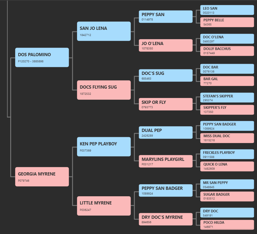 Pedigree do Ken Dos Play